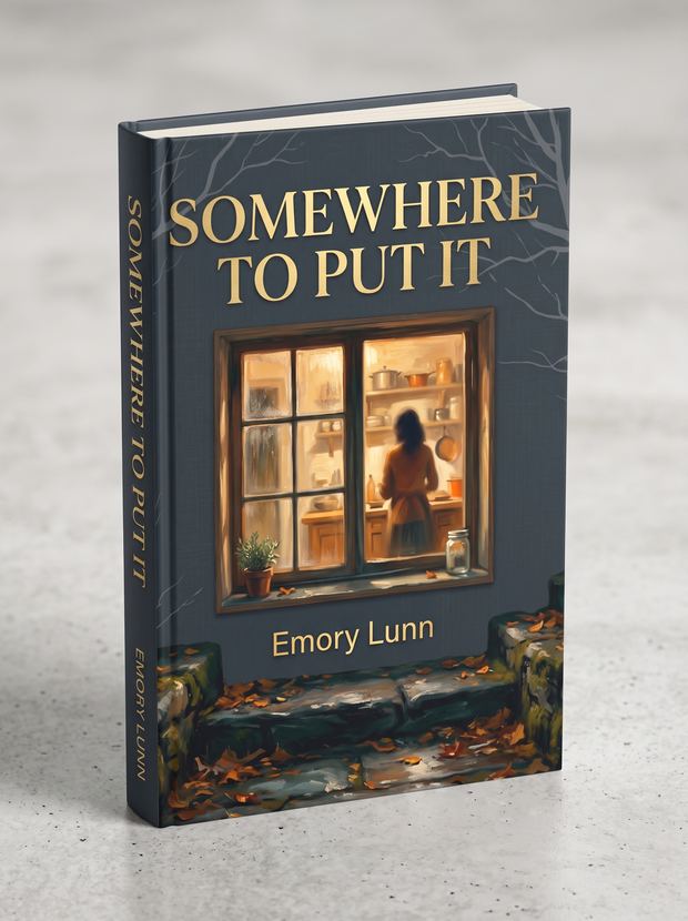 Somewhere to Put It, a novel by Emory Lunn